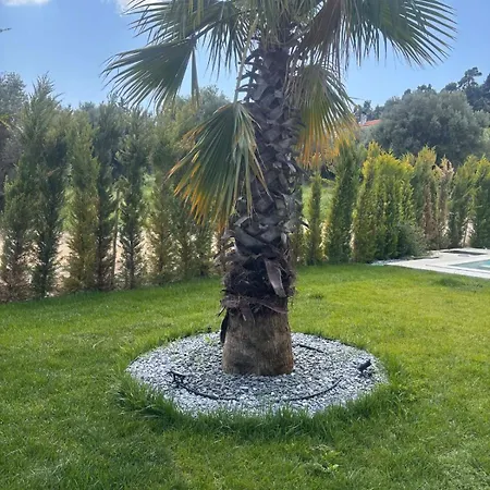 Linen Sea Halkidiki * Κρυοπηγή